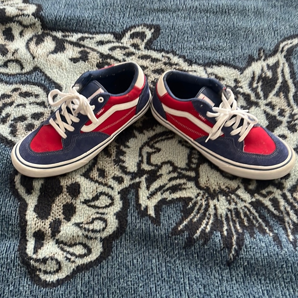 Size 11. Vans Rowan pro. Worn a few times.